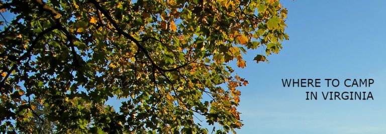 Where to Camp in Virginia