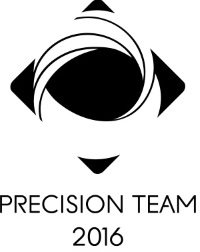 Precision Team